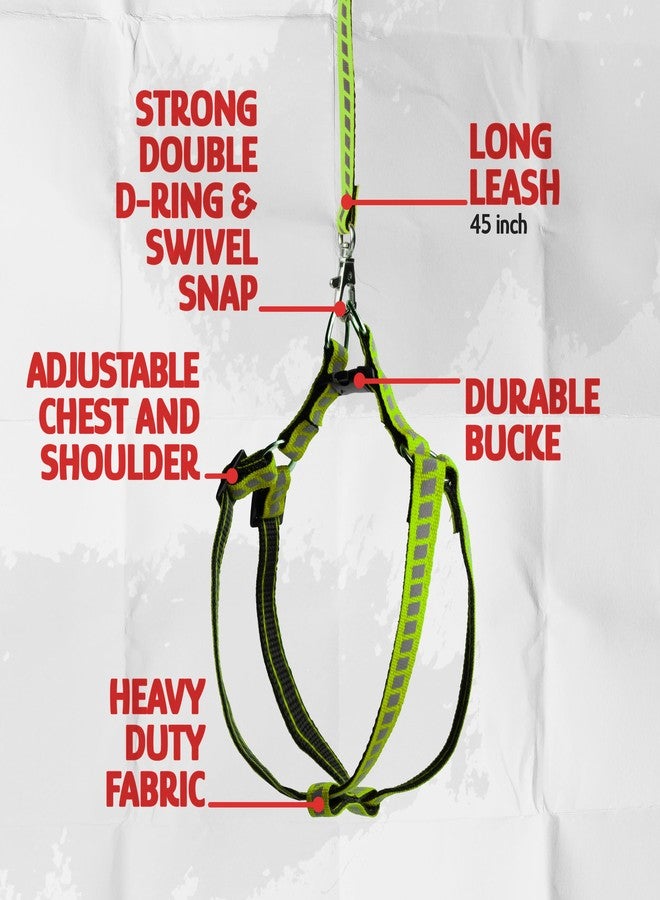 Filbert Cat Harness and Leash Set with Reflective Strip, Thin Cat Harness Escape Proof with Leash, Step-in, Adjustable, Indoor Outdoor, Easy-to-Put-On - Image 5